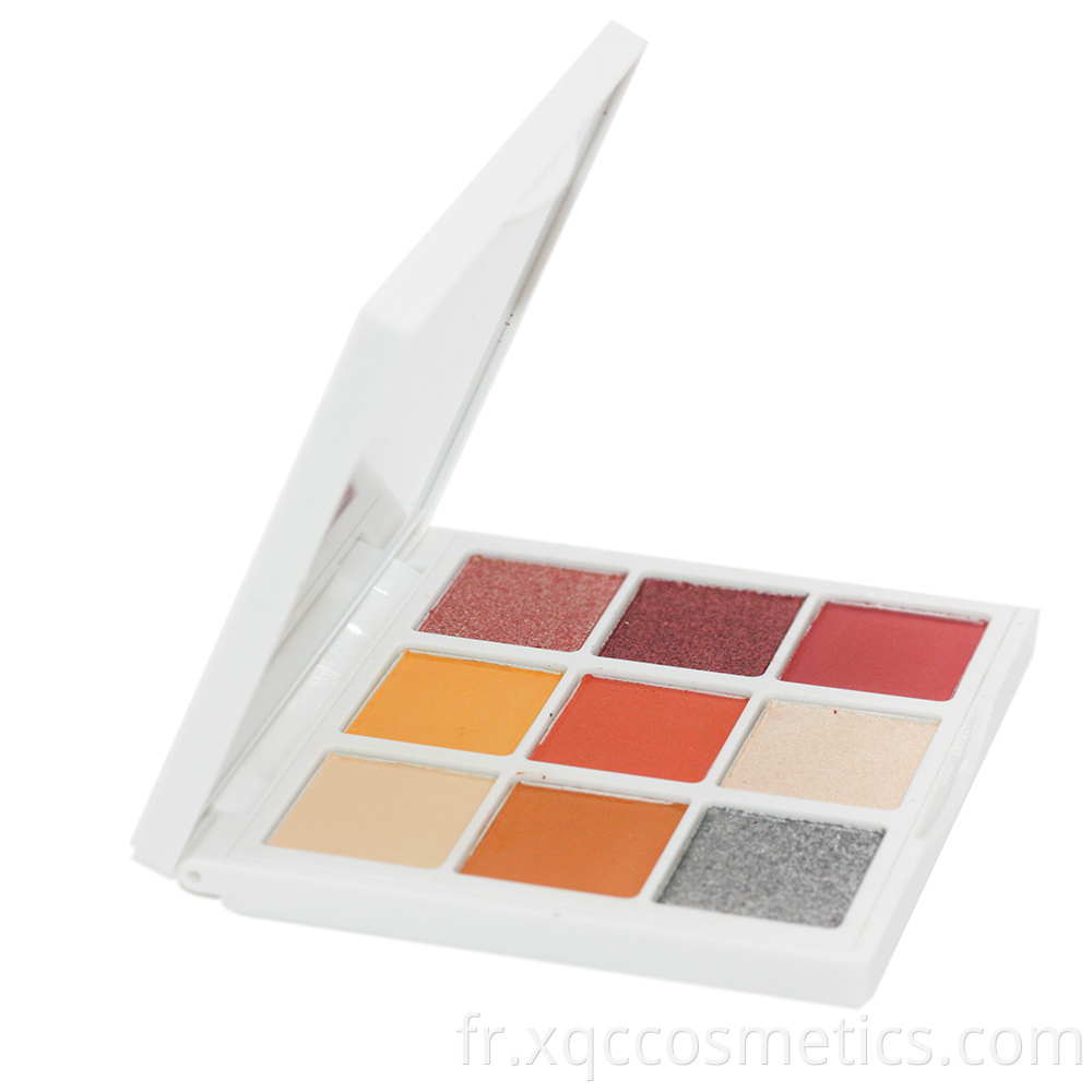 Eye Shadow 9 Clolor2 1000 2